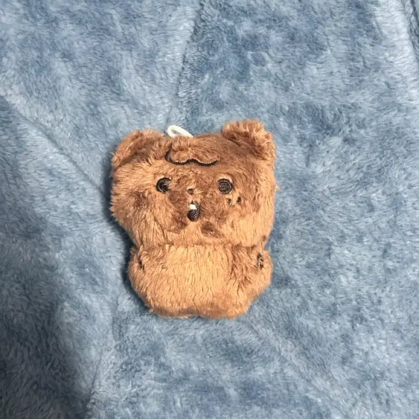 [BUNJANG] NCT Haechan Jjakkomi Doll / Nct 해찬 인형 쨕꼬미