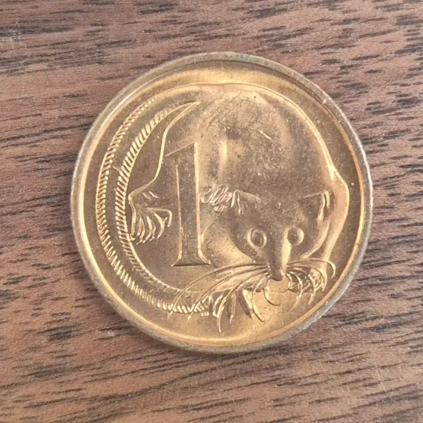 [BUNJANG] 1989 Australian 1 Cent Coin / [EP. 999] 1989년 호주 1센트 동전