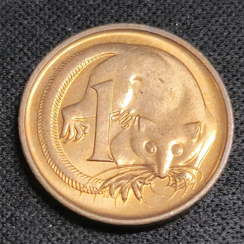 [BUNJANG] 1989 Australian 1 Cent Coin / [EP. 999] 1989년 호주 1센트 동전