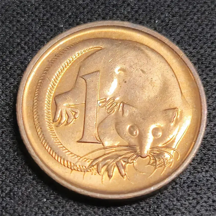 [BUNJANG] 1989 Australian 1 Cent Coin / [EP. 999] 1989년 호주 1센트 동전