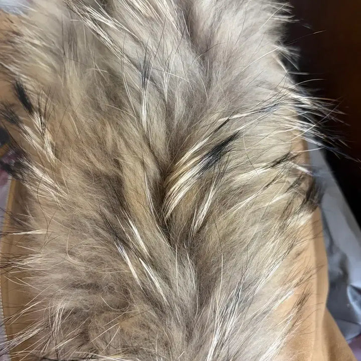 [BUNJANG] Pale Jade Wolfjo Camel Wool Coat / 페일제이드 울프죠 후드집업 카멜
