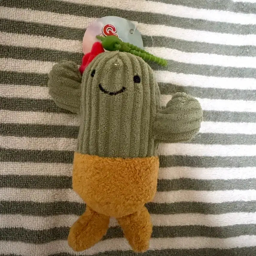 [BUNJANG] Cactus Doll Keychain / 선인장 인형 키링