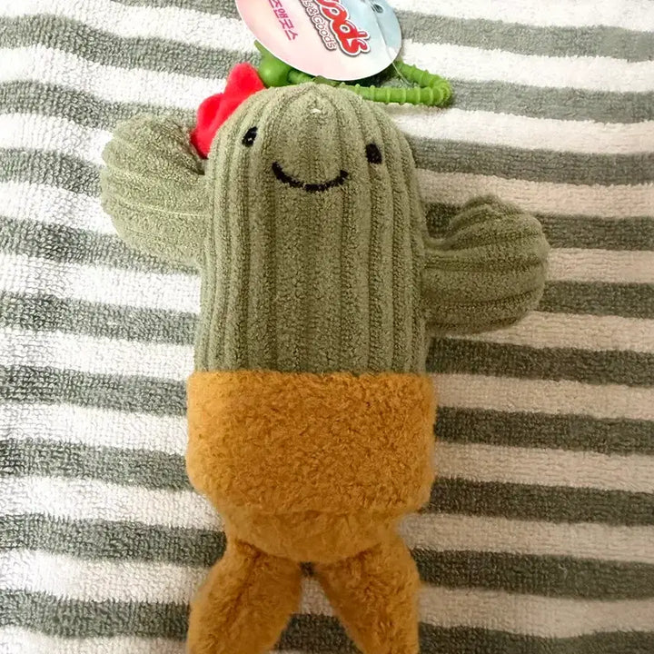 [BUNJANG] Cactus Doll Keychain / 선인장 인형 키링