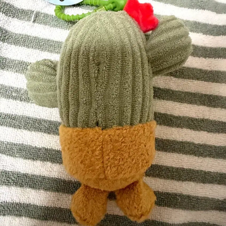 [BUNJANG] Cactus Doll Keychain / 선인장 인형 키링