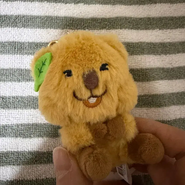 [BUNJANG] Quokka Plush Keychain / 쿼카 인형 키링
