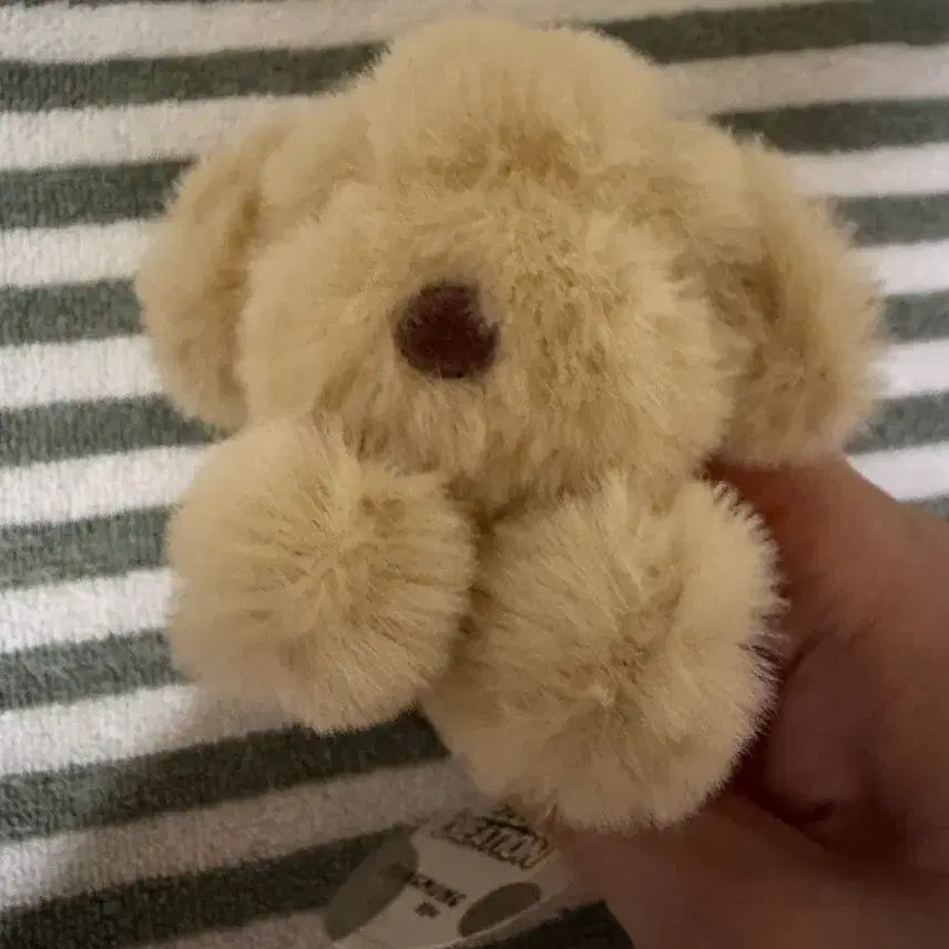 [BUNJANG] Dog Plush Keyring / 강아지 인형 키링