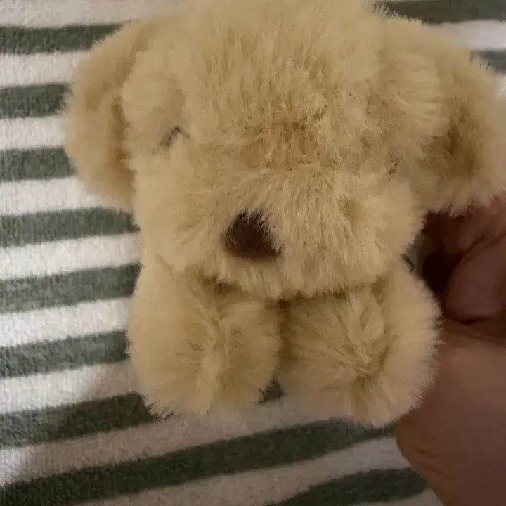 [BUNJANG] Dog Plush Keyring / 강아지 인형 키링