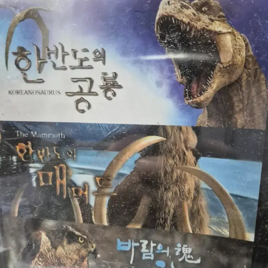 [BUNJANG] EBS Korean Peninsula Dinosaurs/Mammoth DVD Box Set / EBS 한반도의 공룡/매머드 DVD 박스세트