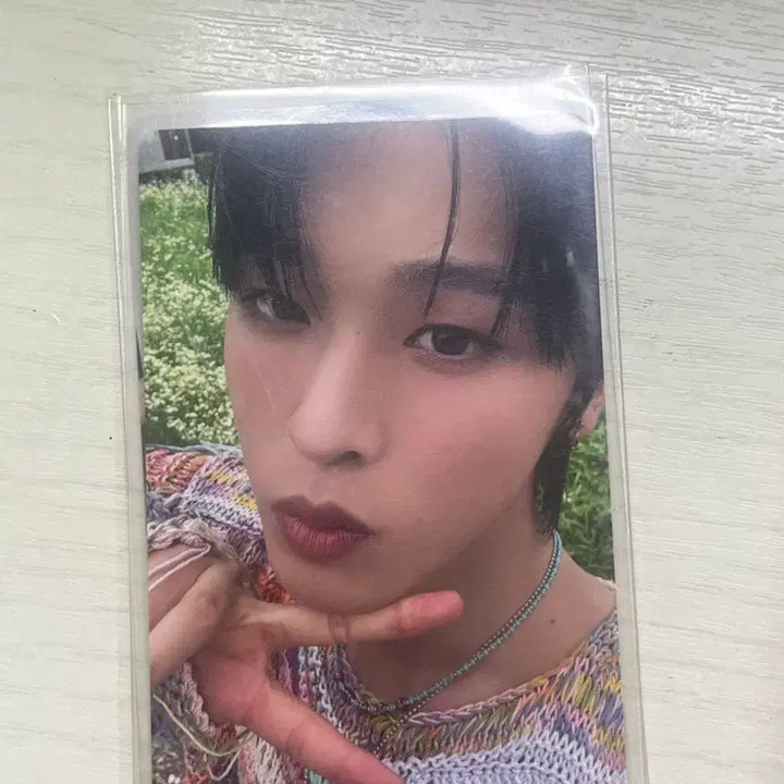 [BUNJANG] Color Riku Photocard / 컬러 리쿠 포카