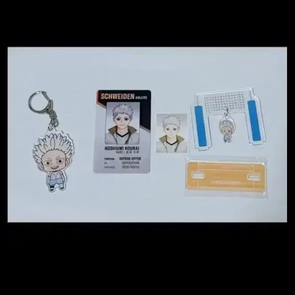[BUNJANG] Haikyu Hoshiumi Nano Block, Team ID, Acrylic, Keyring Bundle Set / 하이큐 호시우미 구단증, 아크릴, 키링 일괄