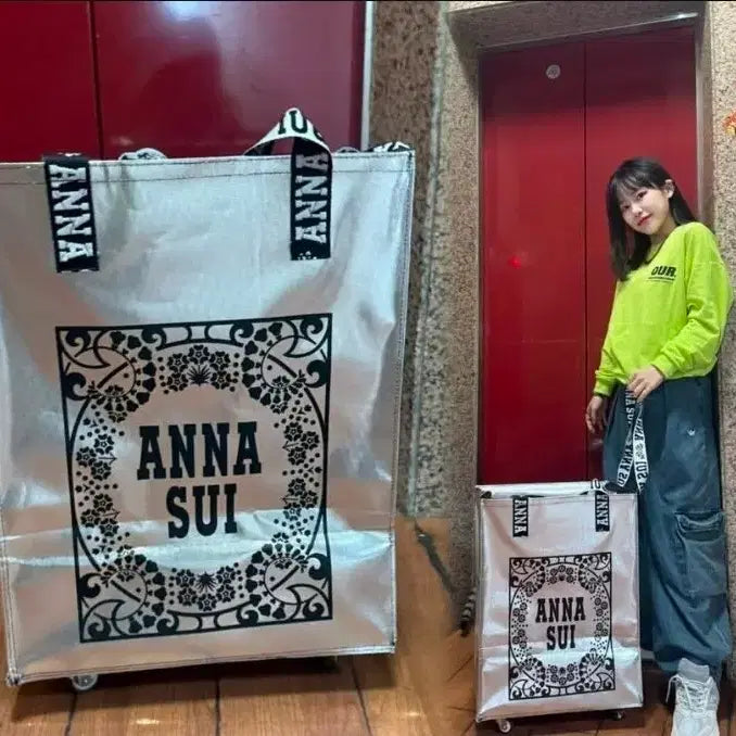 [BUNJANG] Anna Sui Silver Shopping Cart / 안나수이 실버 쇼핑 카트