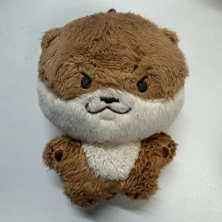 [BUNJANG] Seventeen Dino Doll / 세븐틴 디노 인형