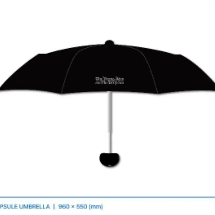 [BUNJANG] Lim Hyunsik Exhibition Umbrella / 임현식 전시회 md 우산 (미개봉)