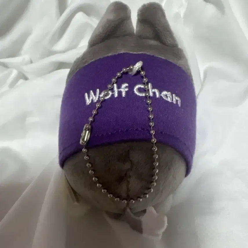 [BUNJANG] Stray Kids Bang Chan Wolf Japanese Charm / 스트레이키즈 울프찬 일본 백참 판매합니당