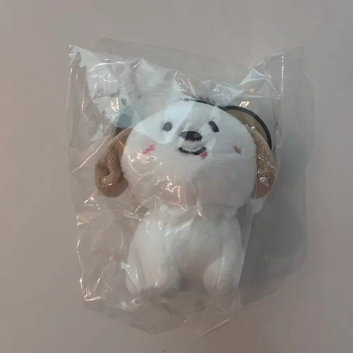 [BUNJANG] RIIZE Anton 10cm Doll (Sealed) / 미개봉) 1기 멍룡이 10cm 인형 앤톤 인형