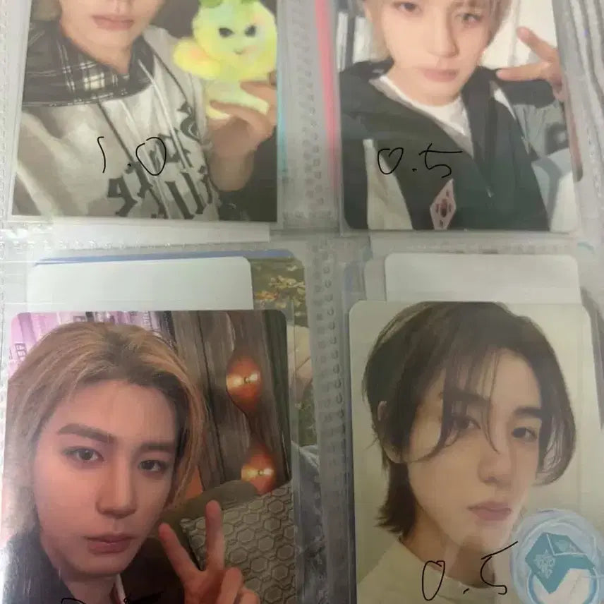 [BUNJANG] Bvndg Photocard / 보넥도 포카