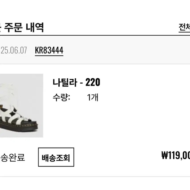 [BUNJANG] Dr. Martens Natilla Mint Color Boots / 닥터마틴 나틸라 (민트컬러) 공홈정품 풀박스 UK3