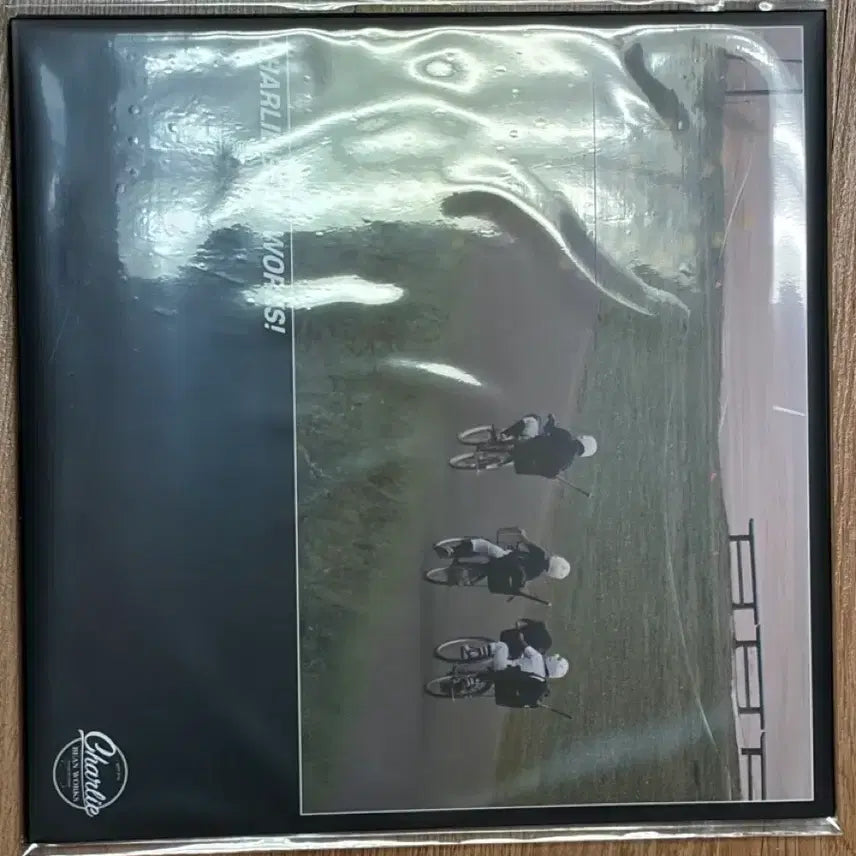 [BUNJANG] Charlie Brown Works Sealed Accessory / 찰리빈웍스 - 찰리빈웍스! 미개봉