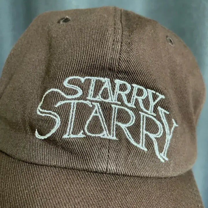 [BUNJANG] Davichi Starry Brown Baseball Cap / 다비치 콘서트 굿즈 starry 볼캡 브라운