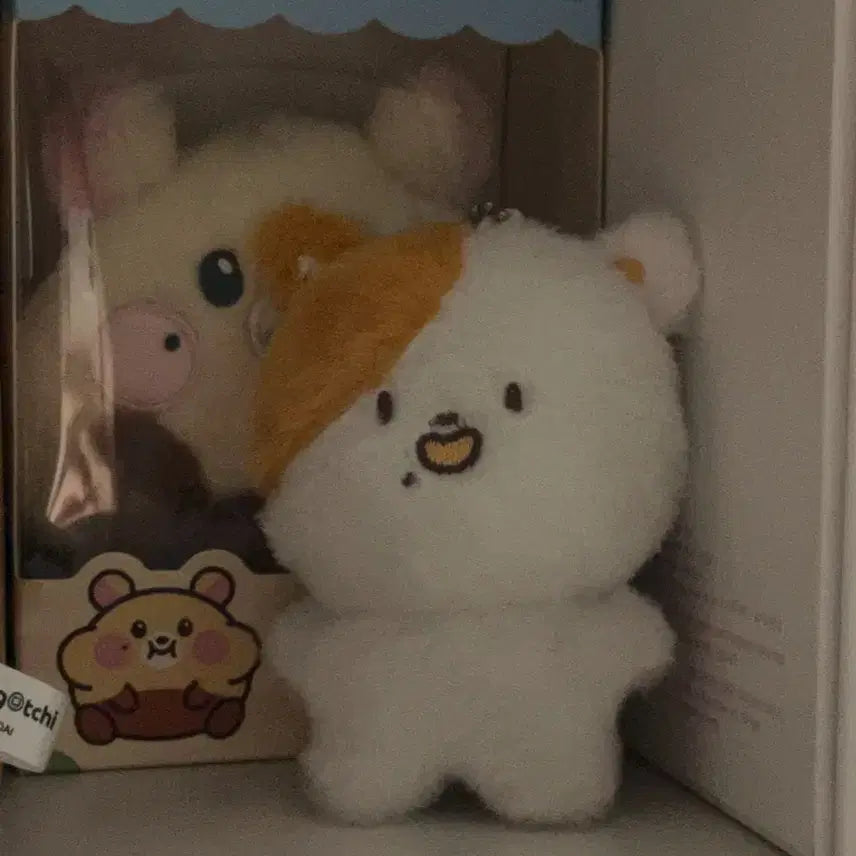 [BUNJANG] NCT Dream Jisung Pocket Doll / 엔시티드림 지성 포켓찌 팔아요. nct 지성 인형