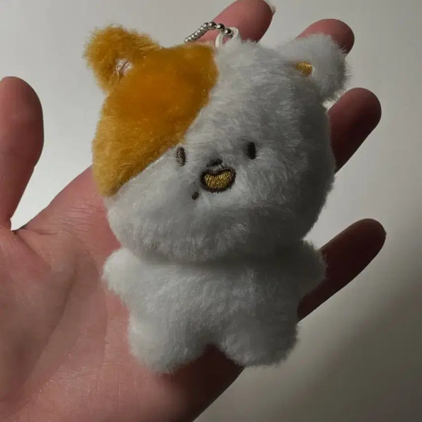 [BUNJANG] NCT Dream Jisung Pocket Doll / 엔시티드림 지성 포켓찌 팔아요. nct 지성 인형
