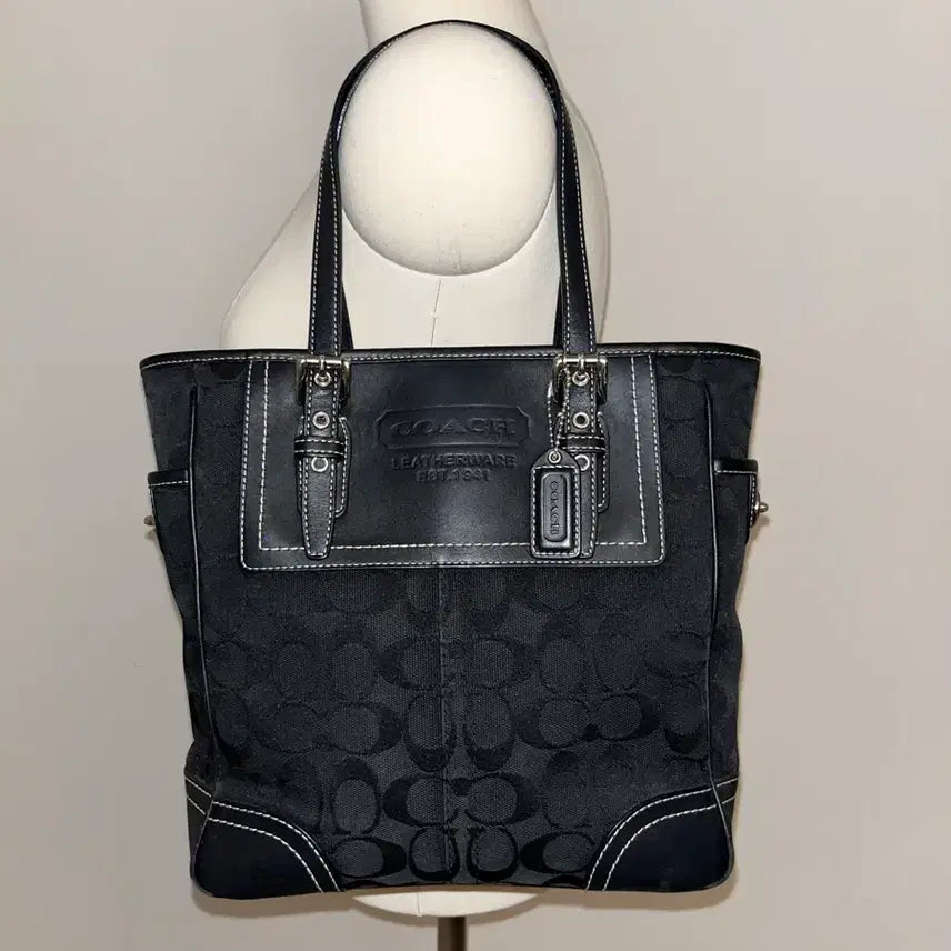 [BUNJANG] Coach Y2K Shoulder Bag / Old Coach Y2K shoulder bag