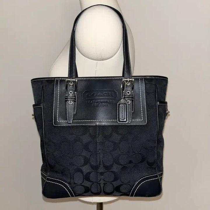 [BUNJANG] Coach Y2K Shoulder Bag / Old Coach Y2K shoulder bag