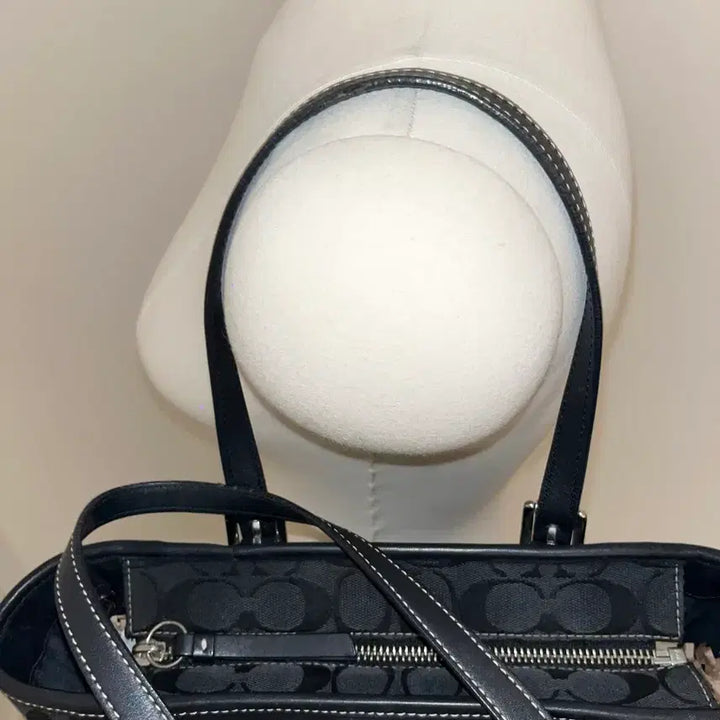 [BUNJANG] Coach Y2K Shoulder Bag / Old Coach Y2K shoulder bag