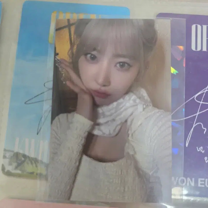 [BUNJANG] Sakura Photocard / 사쿠라 가을 공방포카 싸게 드려요!