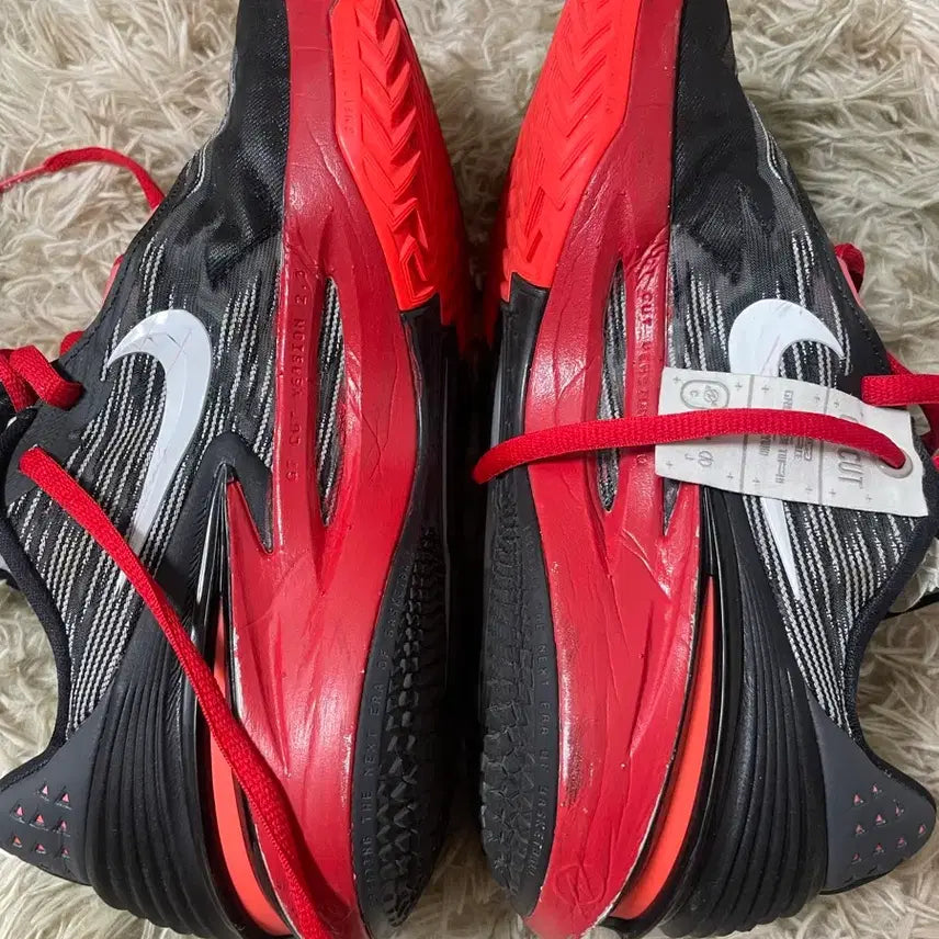 [SOLD OUT] 지티컷 2 브레드 커스텀