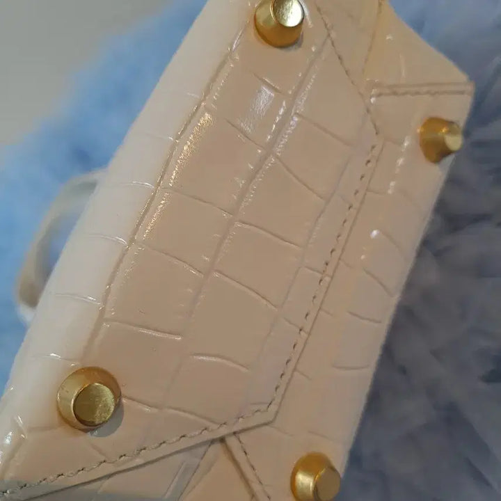 [BUNJANG] HERVE Croc Embossed Mini Tote Bag / HERVE(에르베) 크로커 엠보  미니  토트백