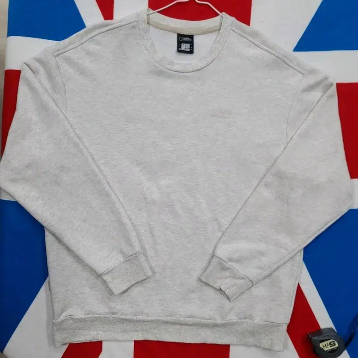 [BUNJANG] National Geographic Gray Sweatshirt / 내셔널지오그래픽 맨투맨 티셔츠 회색