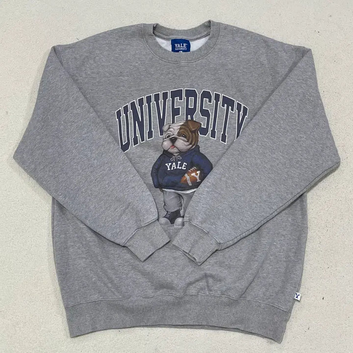 [BUNJANG] L Yale Handsome Dan Crewneck Sweatshirt / L 예일 핸섬 댄 크루넥 맨투맨 0313-1