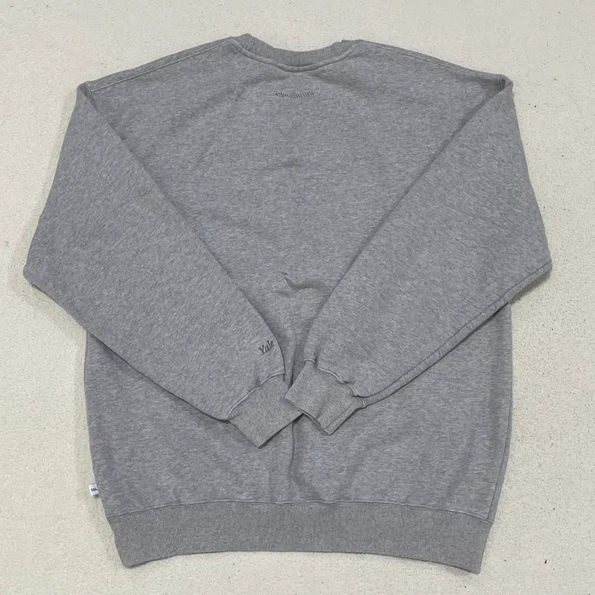 [BUNJANG] L Yale Handsome Dan Crewneck Sweatshirt / L 예일 핸섬 댄 크루넥 맨투맨 0313-1