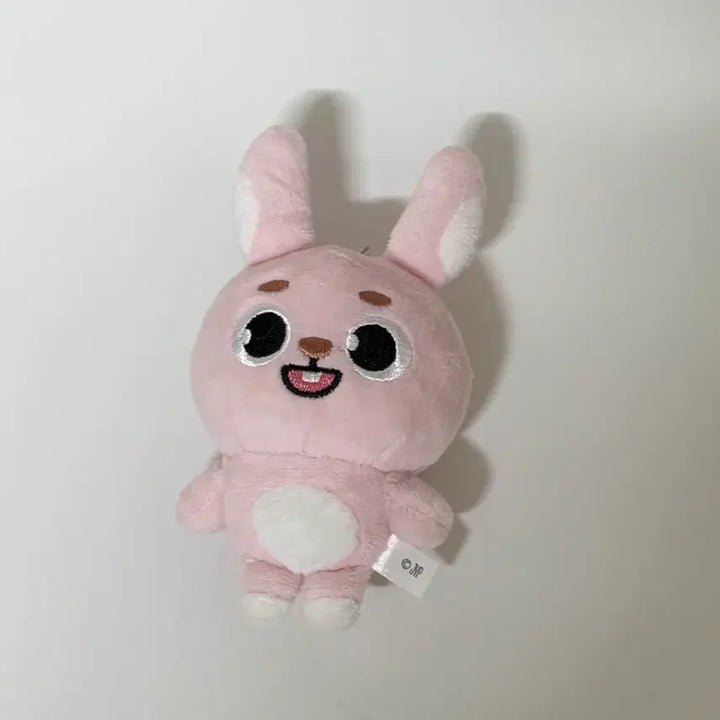[SOLD OUT] 데이식스 일본MD 데니멀즈 필 백참