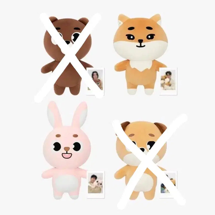 [BUNJANG] Giant Denimals Bang Chan Polaroid Bundle Set / 폴라 포함 미개봉 자이언트 데니멀즈 방케필돈