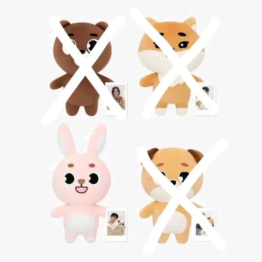 [BUNJANG] Giant Denimals Bang Chan Polaroid Bundle Set / 폴라 포함 미개봉 자이언트 데니멀즈 방케필돈
