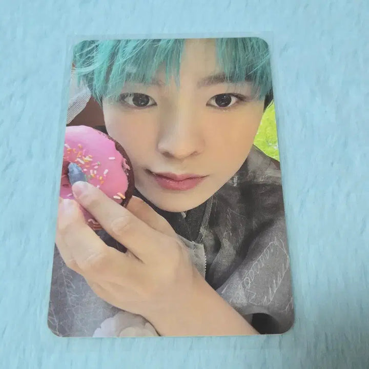 [SOLD OUT] 송버드 레터 유우시 포카