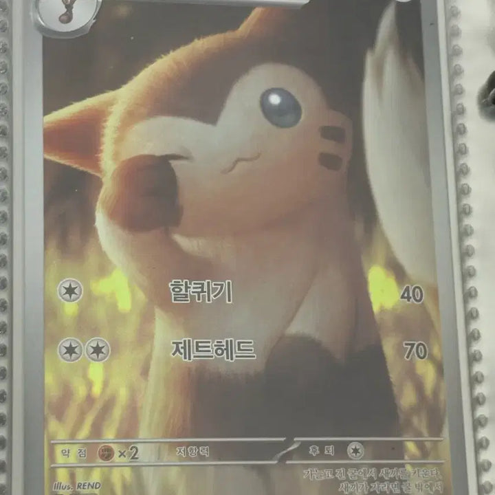 [BUNJANG] Pokemon Card AR Dakkoori / [귀여운 포켓몬카드] 다꼬리 AR