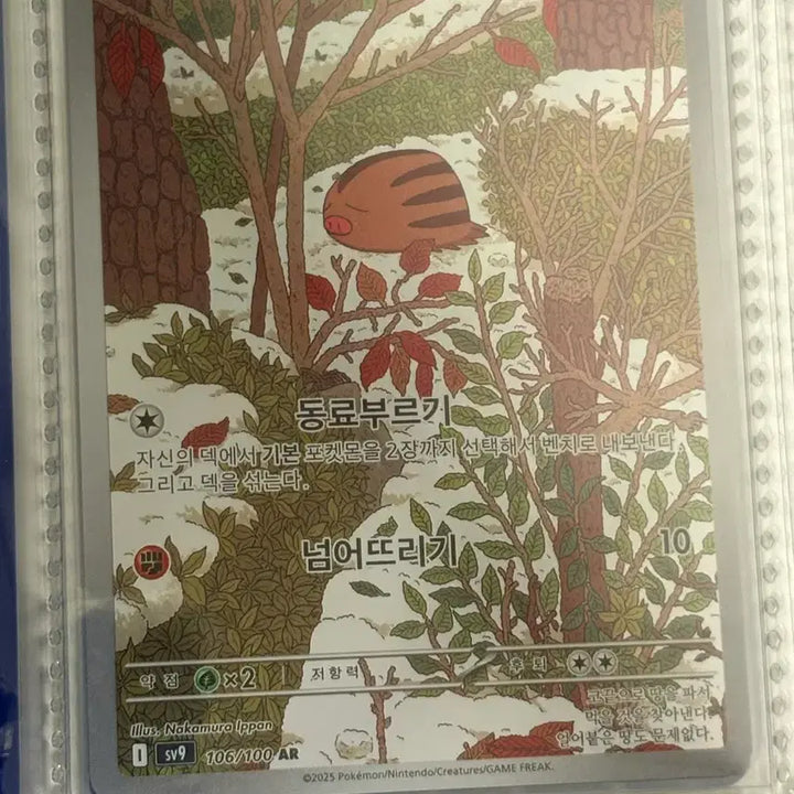 [SOLD OUT] [귀여운 포켓몬카드] 꾸꾸리 AR