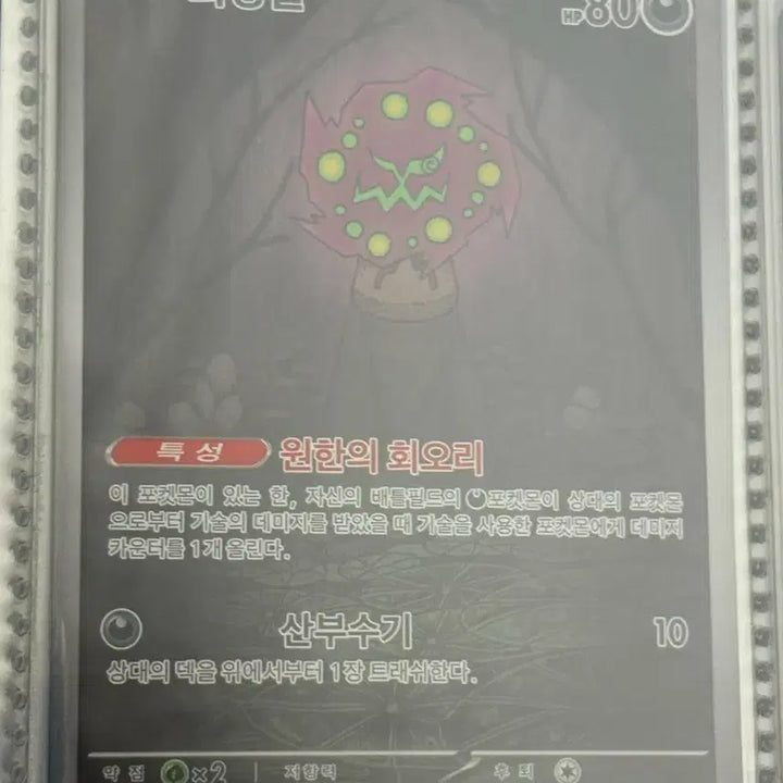 [SOLD OUT] [귀여운 포켓몬카드] 화강돌 AR