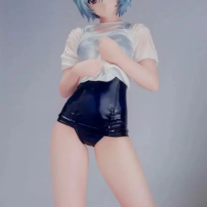 [BUNJANG] Evangelion Ayanami Rei 1/8 Resin Kit / 에반게리온 아야나미 레이 피규어 1/8 레진킷 캐스트 차고 키트