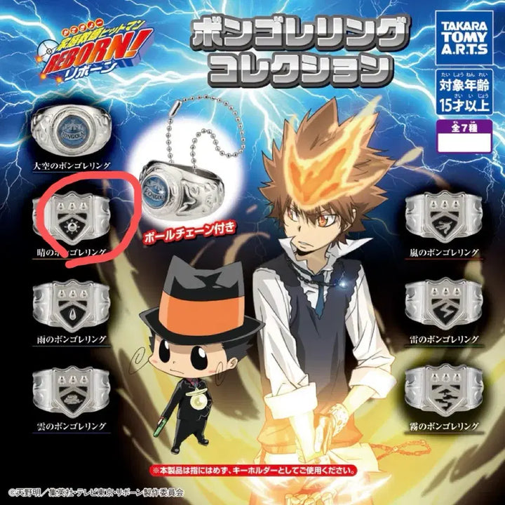 [BUNJANG] Katekyo Hitman Reborn! Vongola Ring Gacha - Sun / 가히리 봉고레링 가챠 태양 미개봉