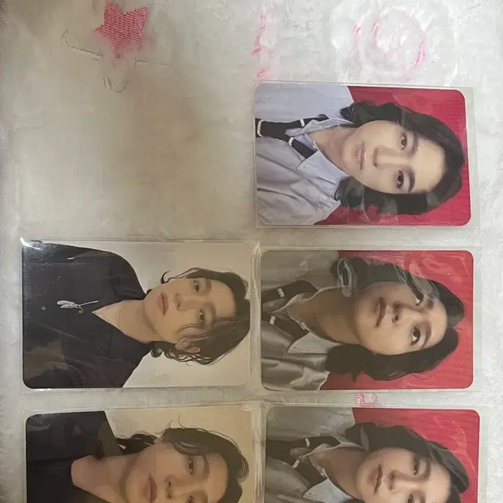 [BUNJANG] Day6 Sungjin Photocard Bundle Set / 데이식스 성진 포토카드 5장 일괄
