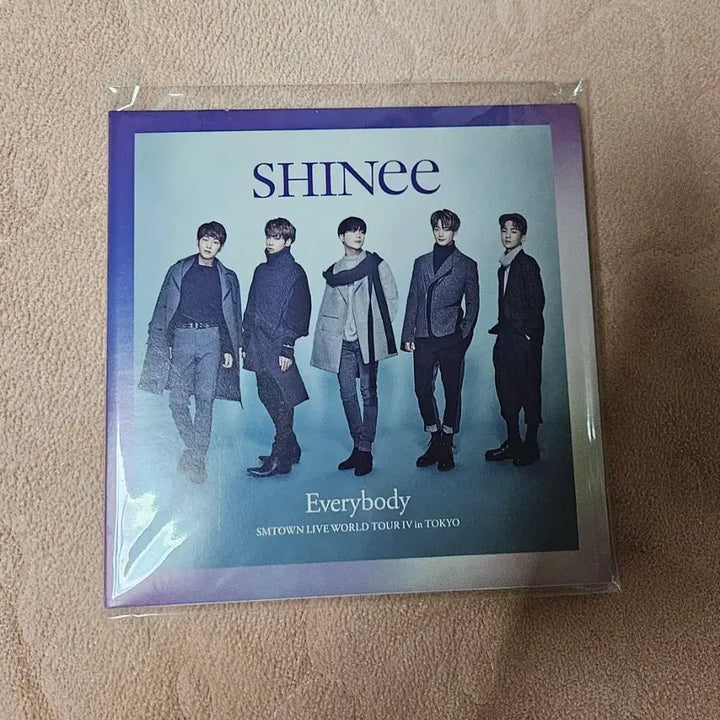 [BUNJANG] SHINee Winter Wonderland Limited Edition DVD / 샤이니 일본 윈터원더랜드 한정반 dvd