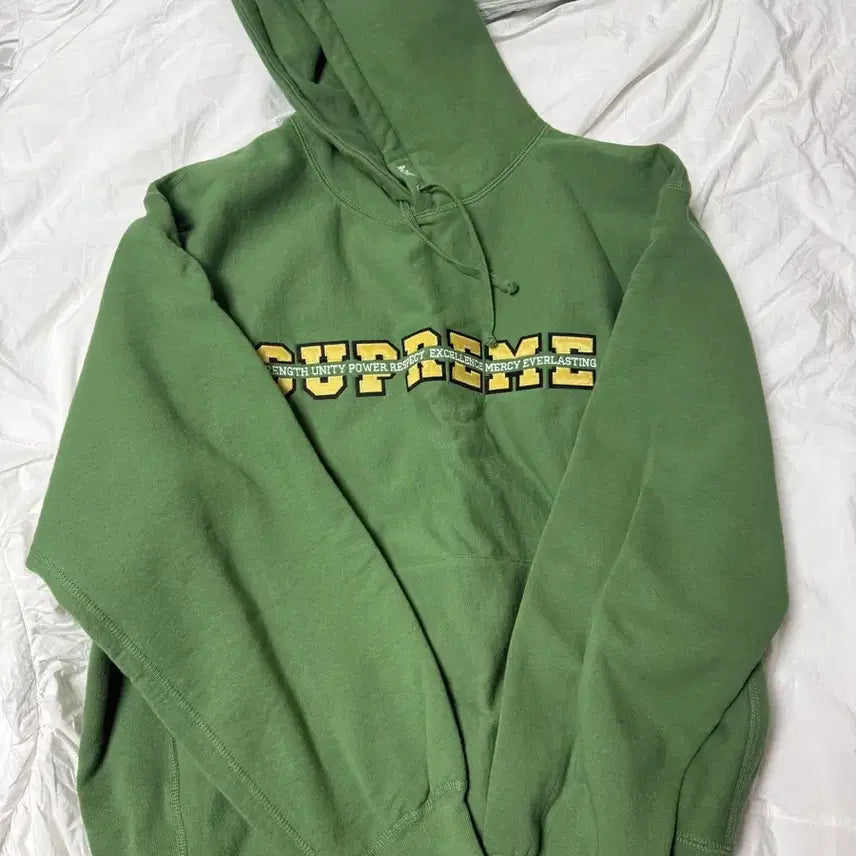 [BUNJANG] Supreme Hooded Sweatshirt Dusty Green XL / 슈프림 후드 더스티 그린 - 24FW XL