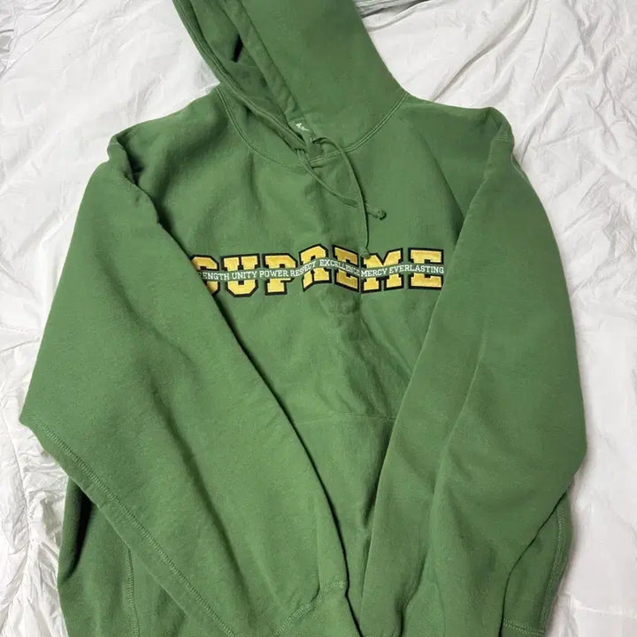 [BUNJANG] Supreme Hooded Sweatshirt Dusty Green XL / 슈프림 후드 더스티 그린 - 24FW XL
