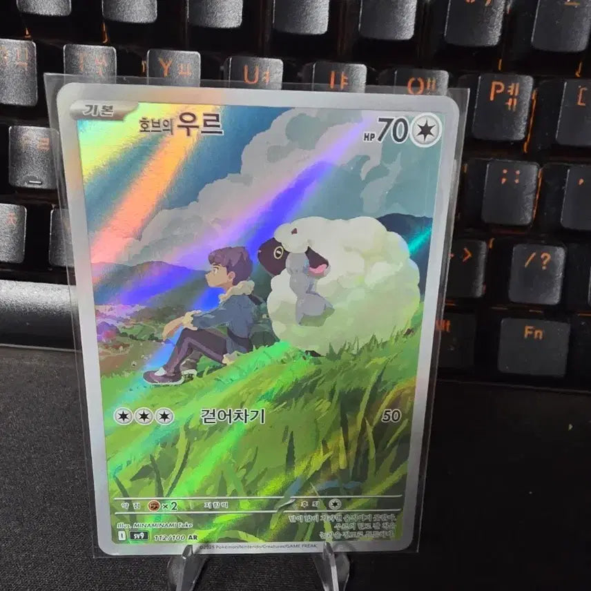 [BUNJANG] Pokemon Hob&