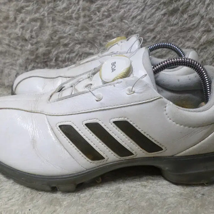[BUNJANG] Adidas Alpha Flex Boa Golf Shoes / 후루룩구제 245 아디다스 알파 플렉스 보아 골프화 중고 신발
