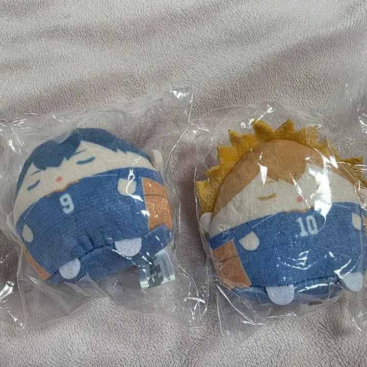[BUNJANG] Haikyu Furawaku e Hinata, Kageyama Bundle Set / 하이큐 후와쿠지 e 히나타, 카게야마 일괄